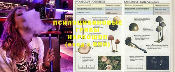 кокаин колумбия Балахна